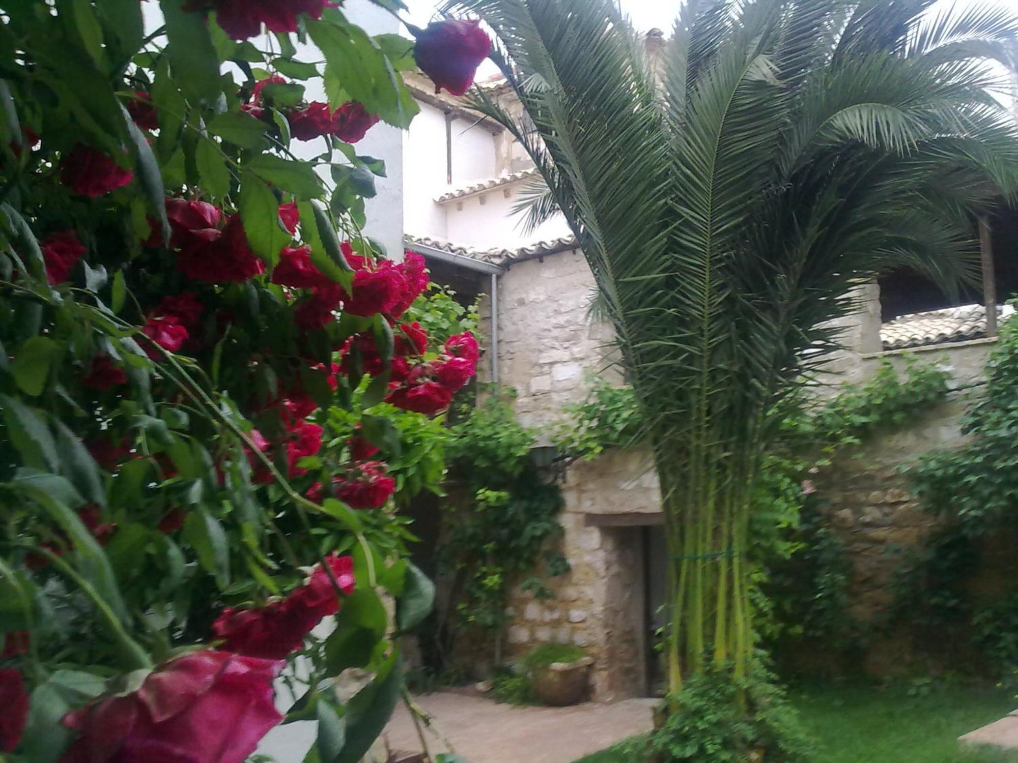 Apartamentos Turisticos El Losal Úbeda Exteriér fotografie